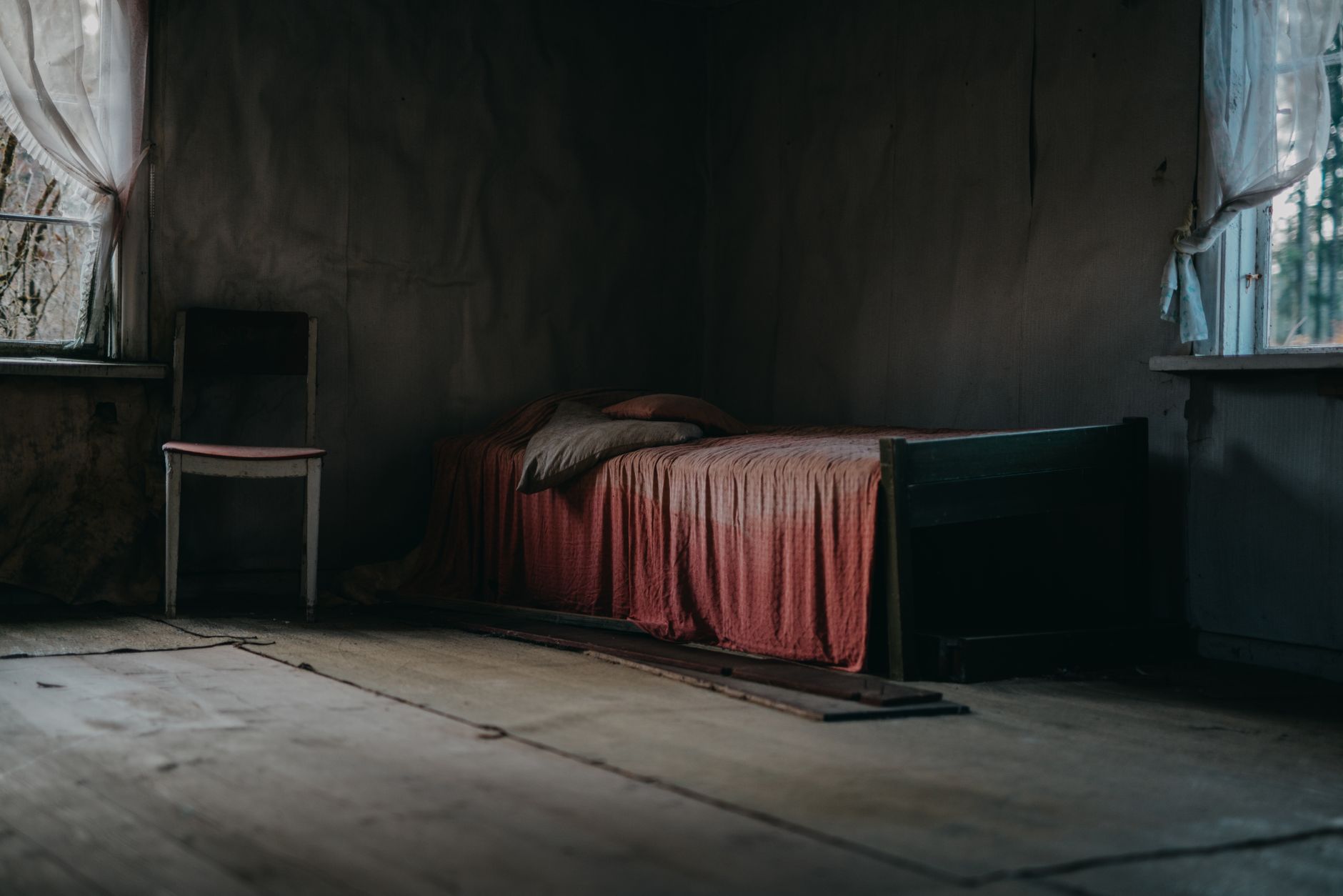Traitement Punaises de Lit à Sucy-en-Brie